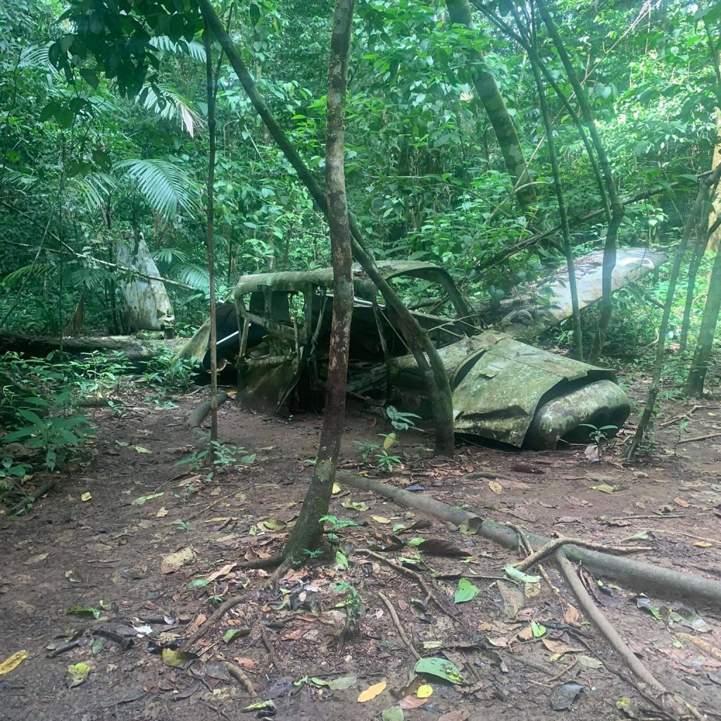 Plane crash in the rainforest