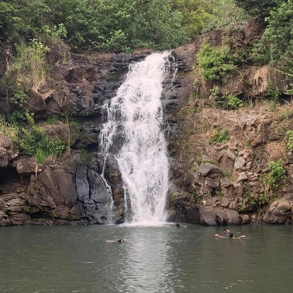 Waimea waterfall