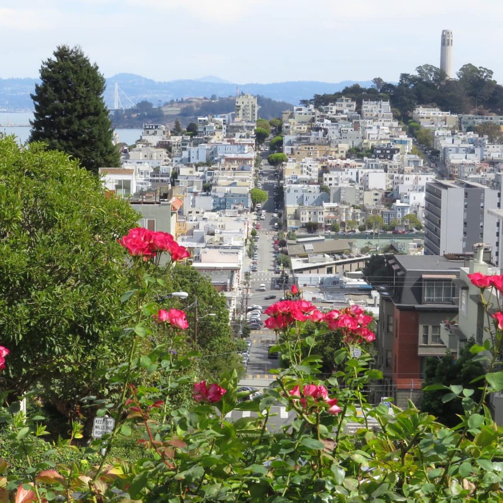 Lombardo Street View