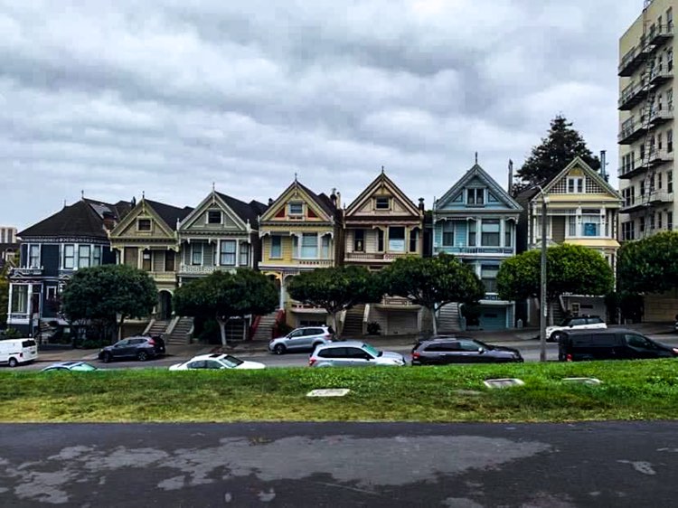 Painted ladies