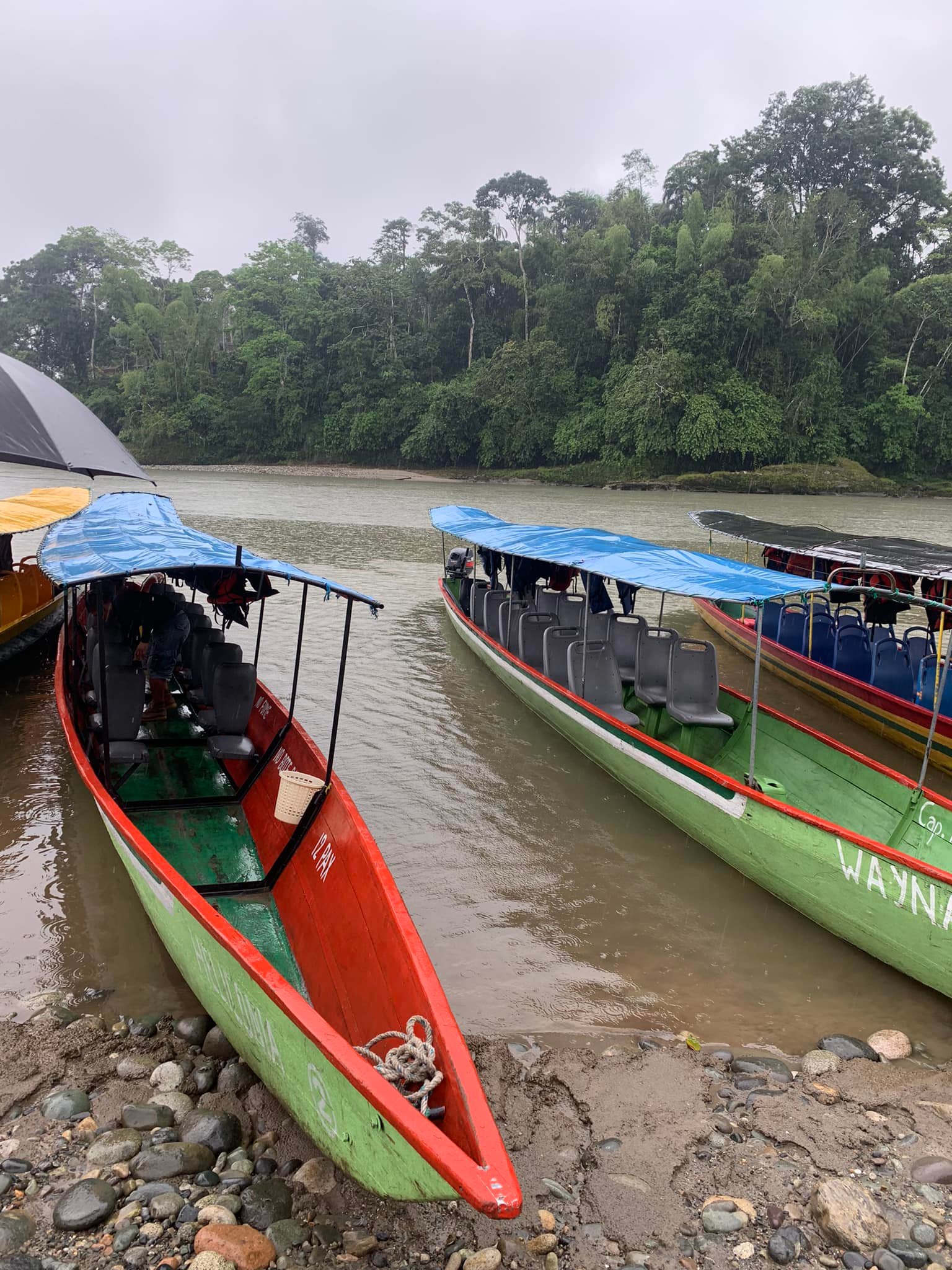 Colorful boats