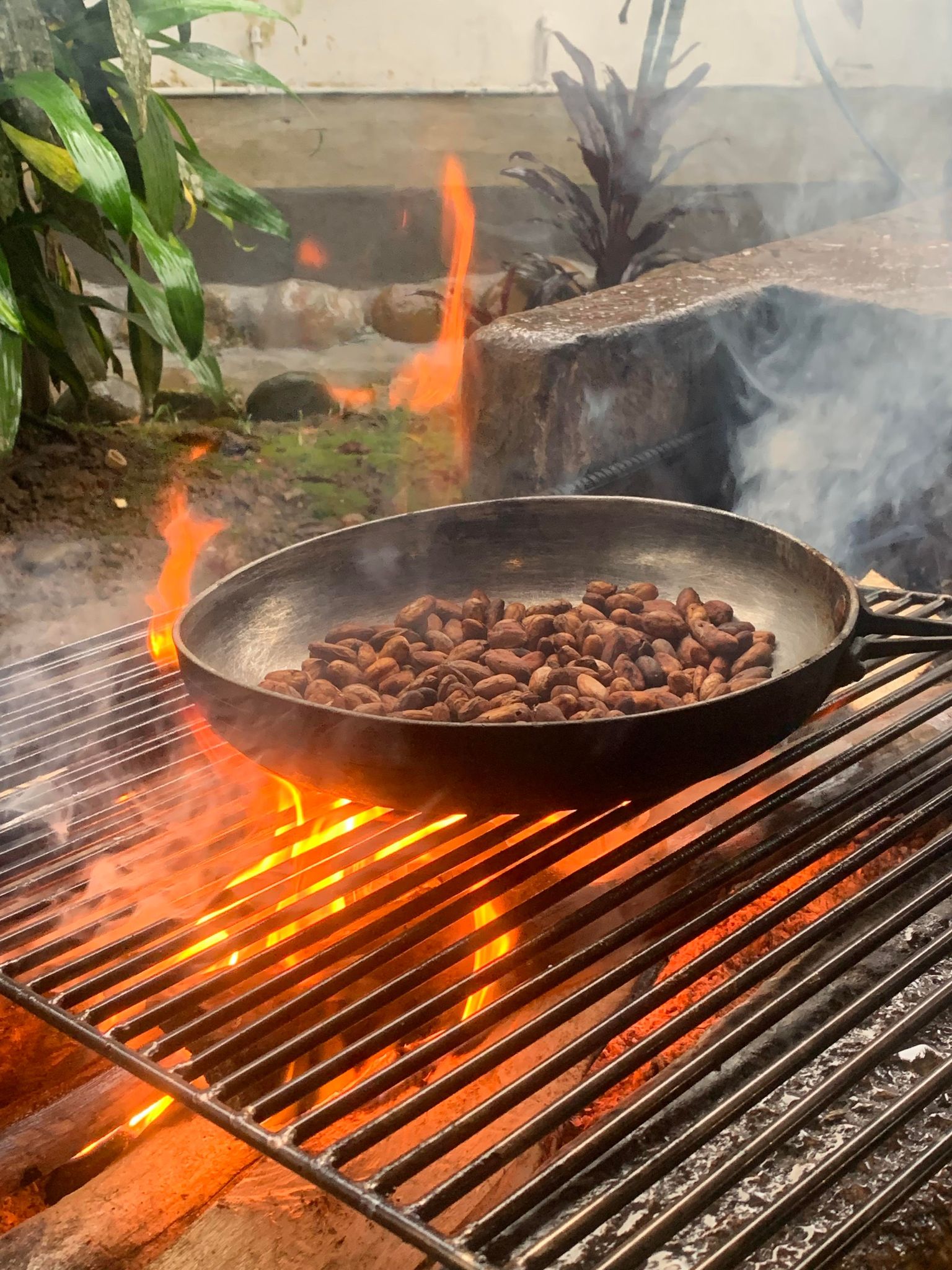 Cacao beans roasting