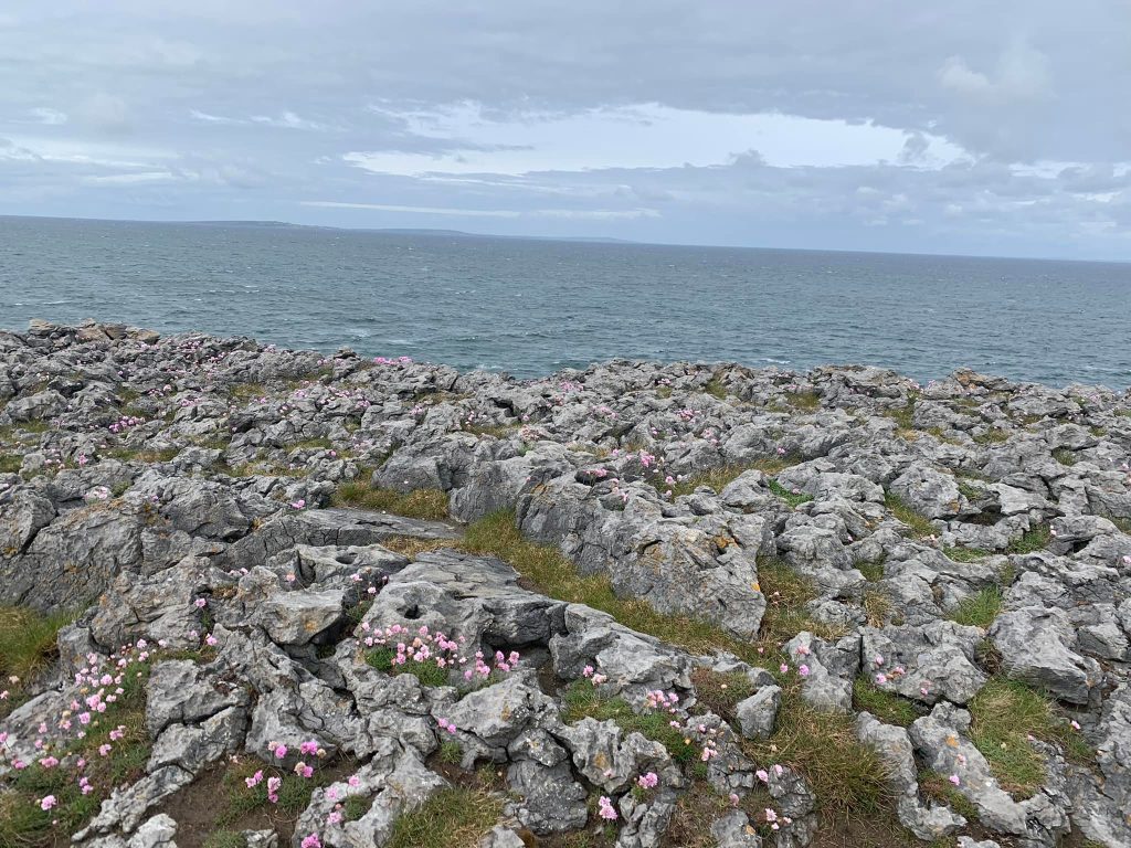 The burren