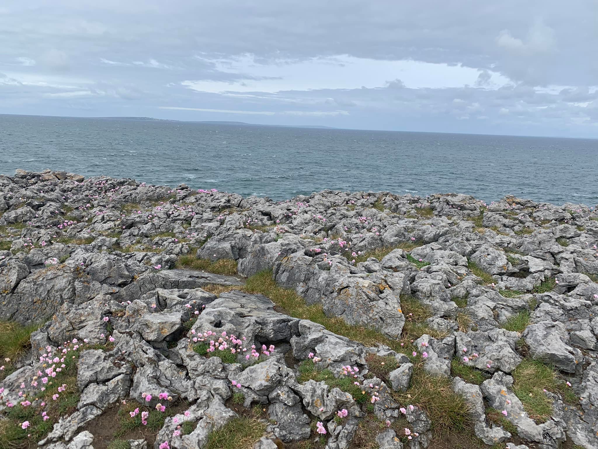 The burren