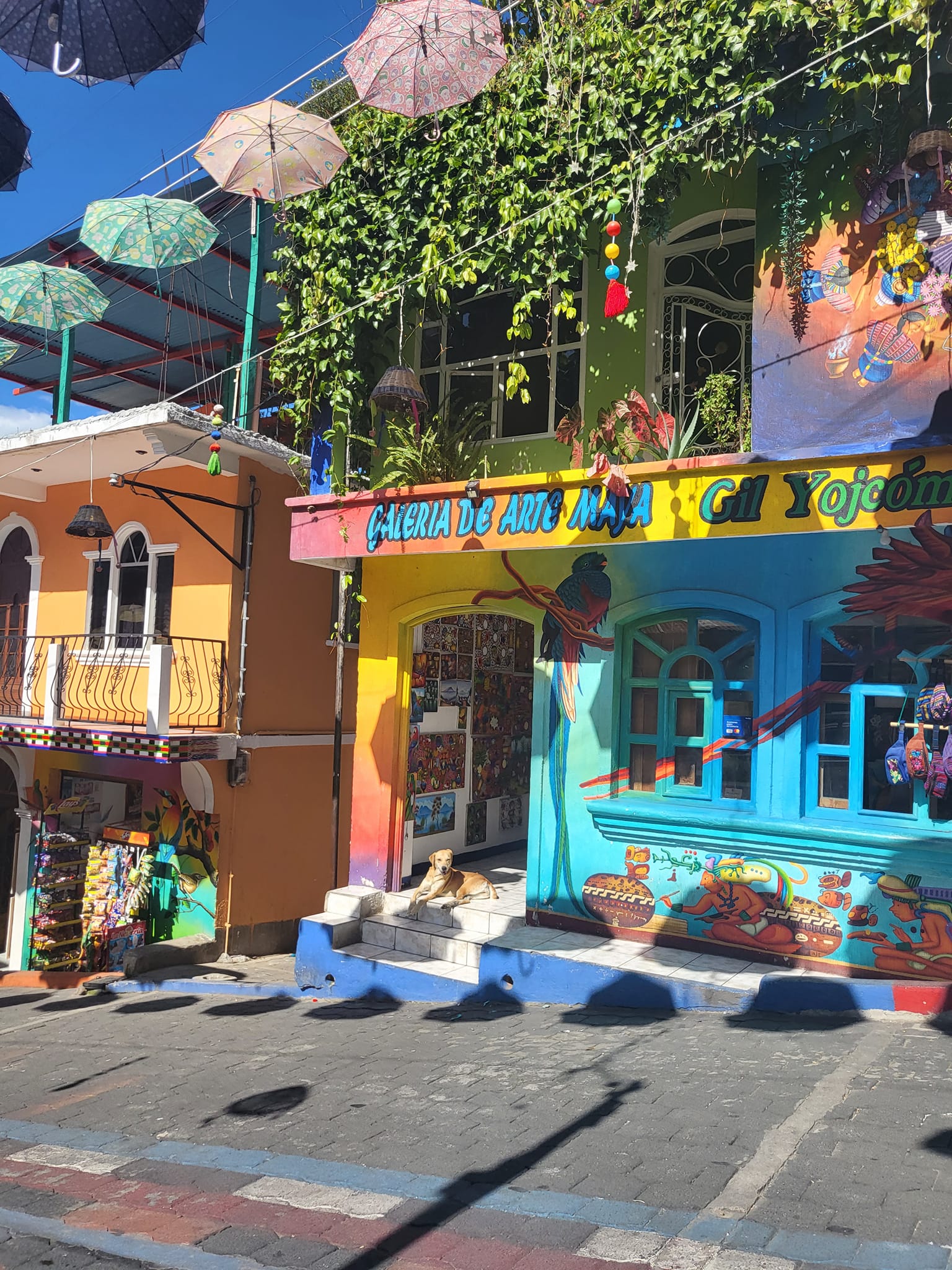 Colorful buildings lining the street