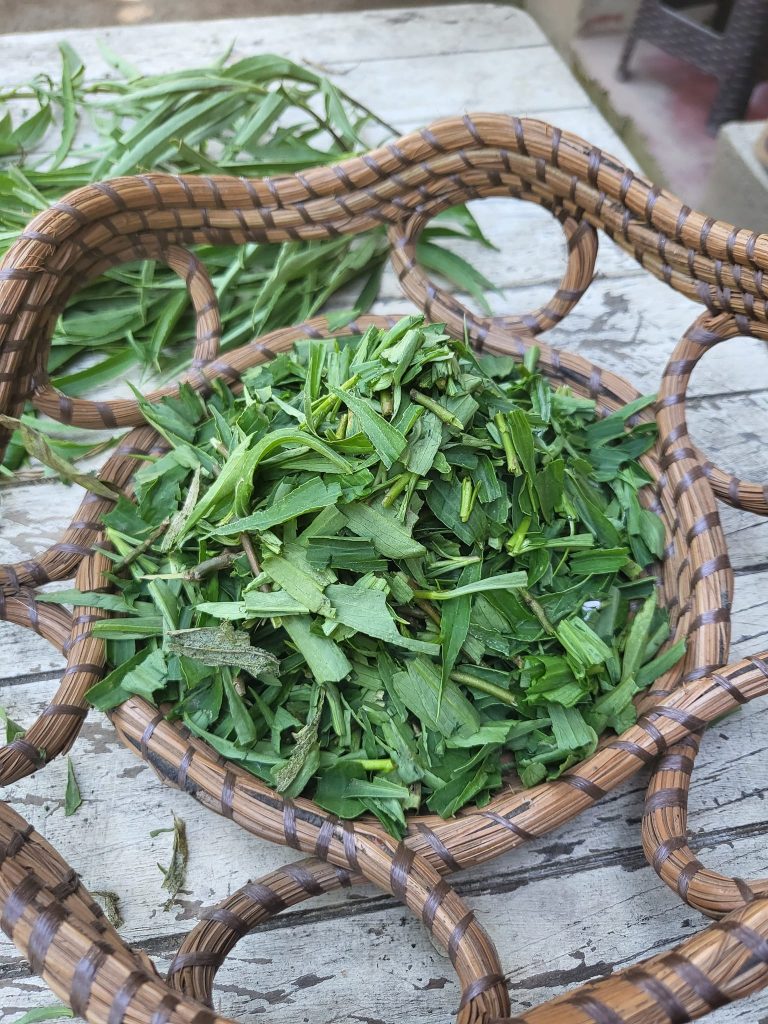 Cut up plant used for yellow dye