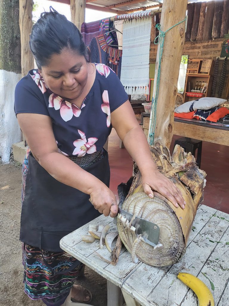 Mayan lady cutting banana tree