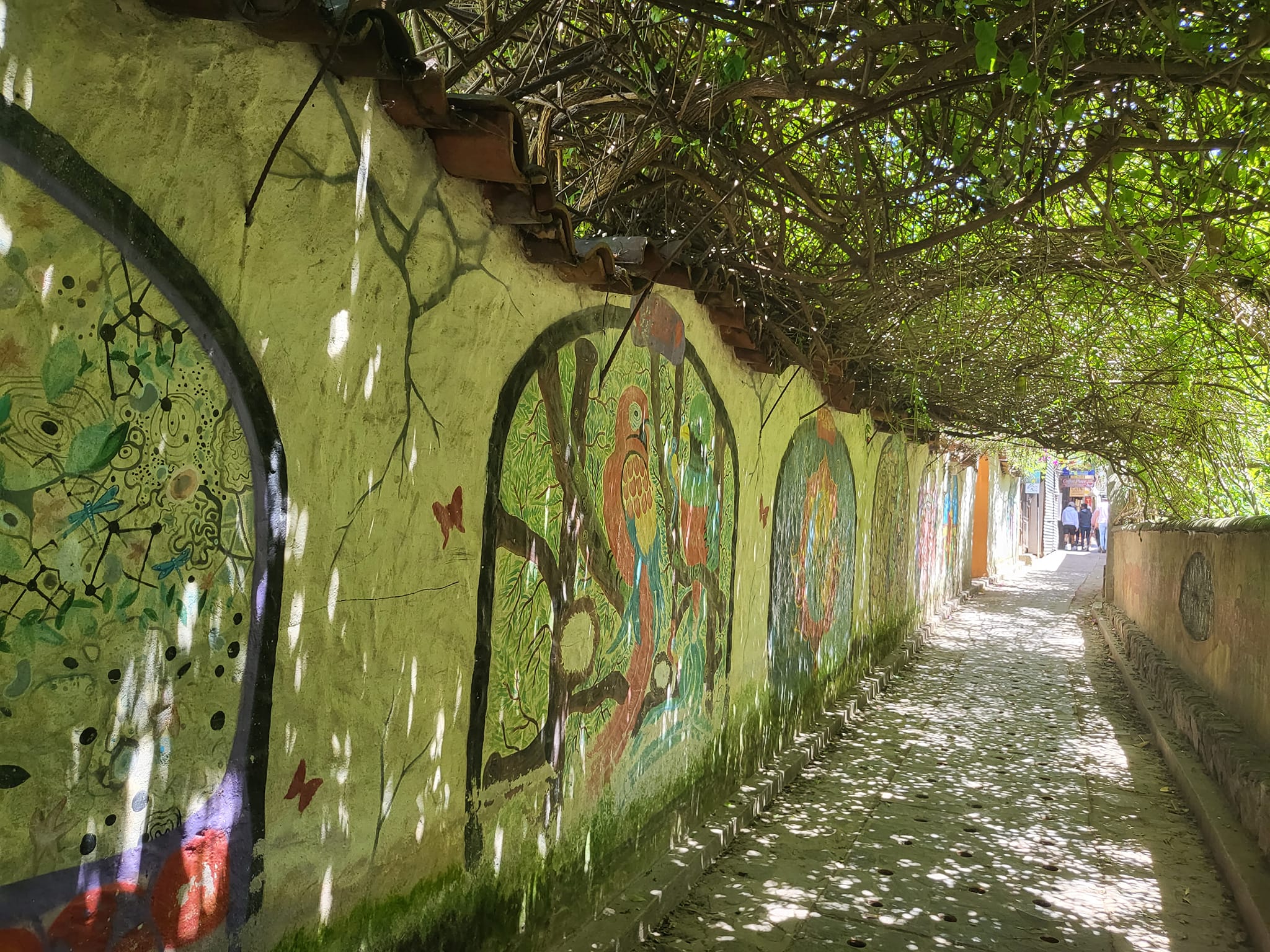 A wall of murals. One is a parrot.