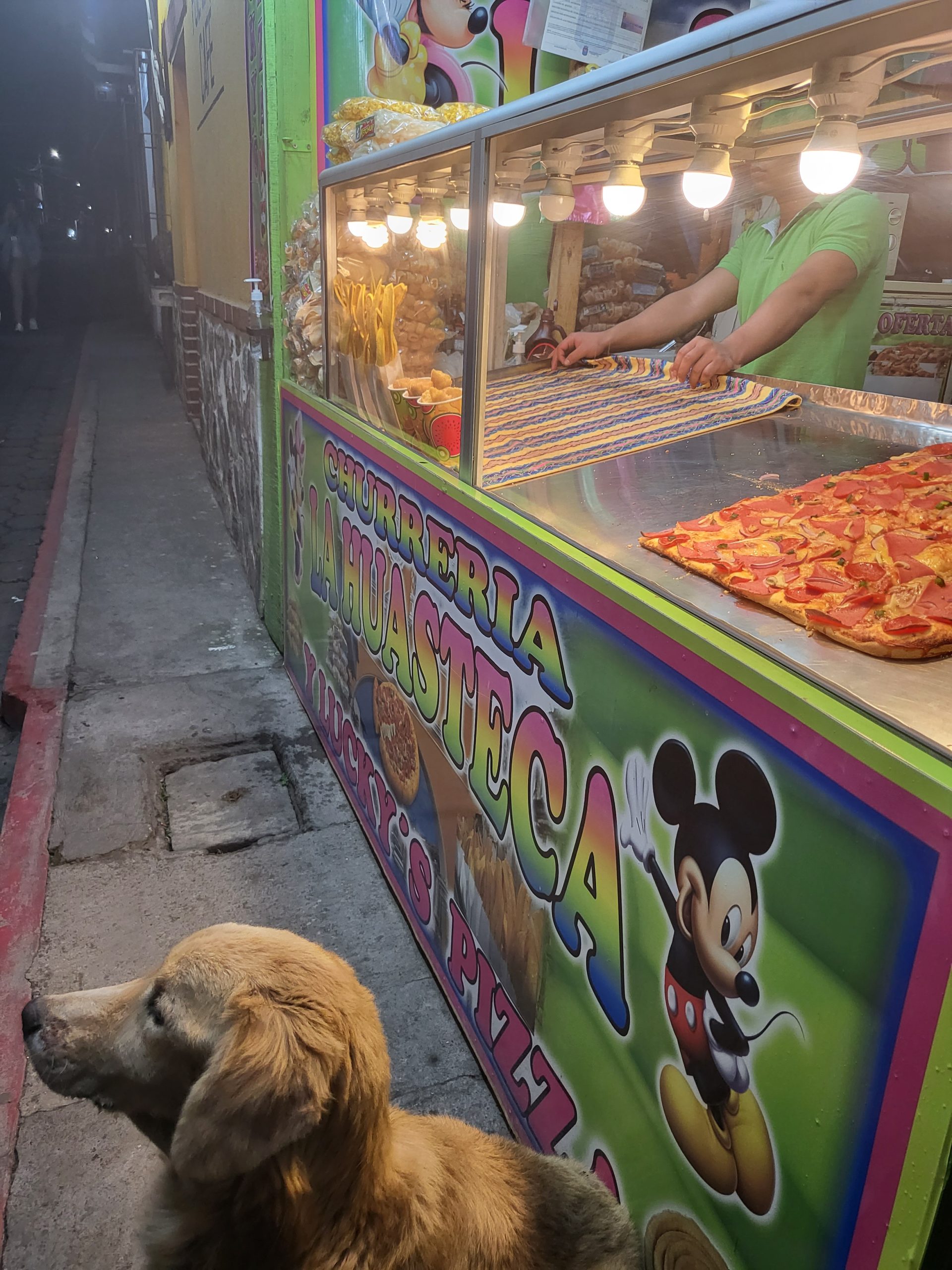 Dog beside pizza stand