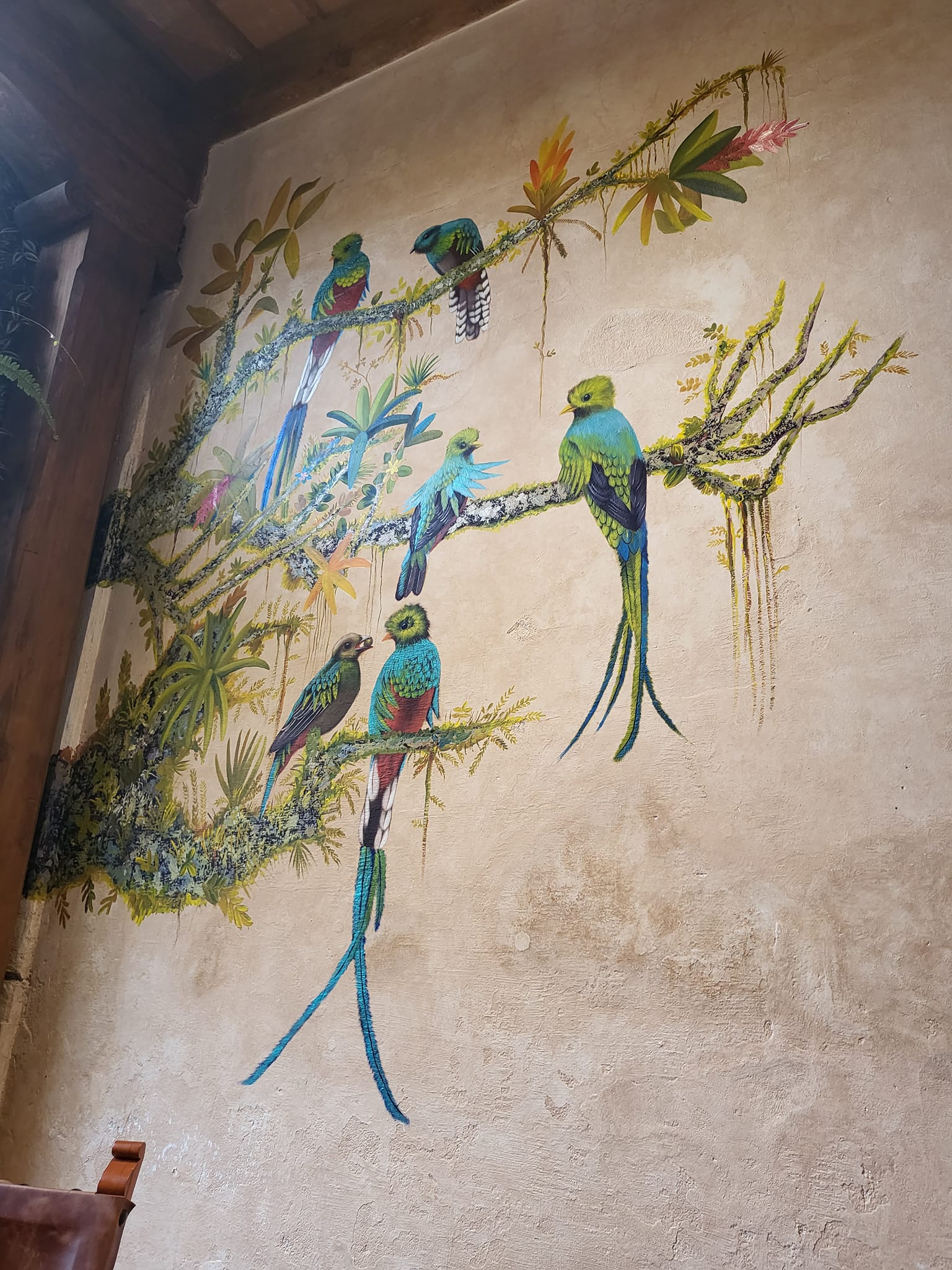 Quetzal bird mural