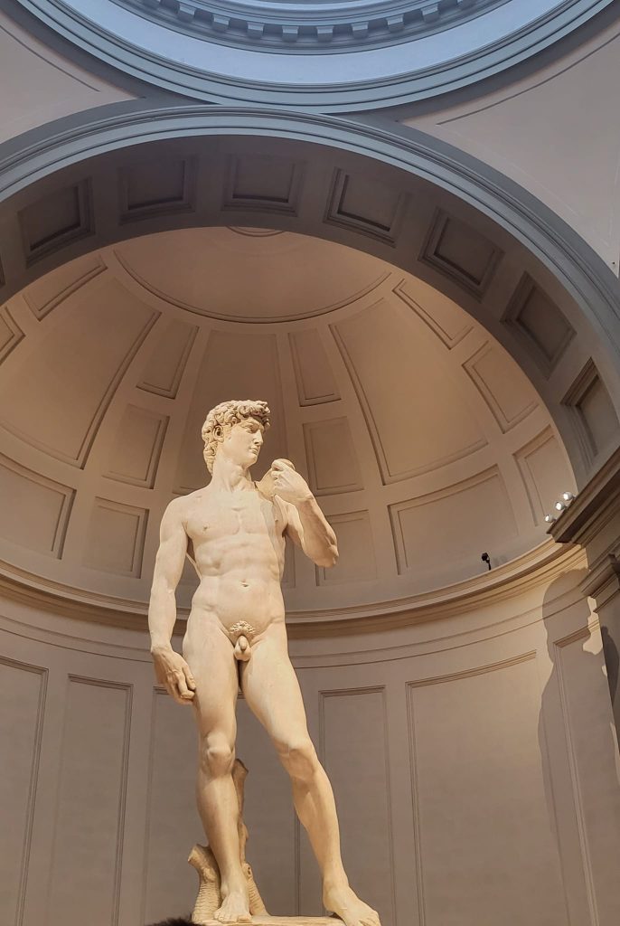 The statue of David