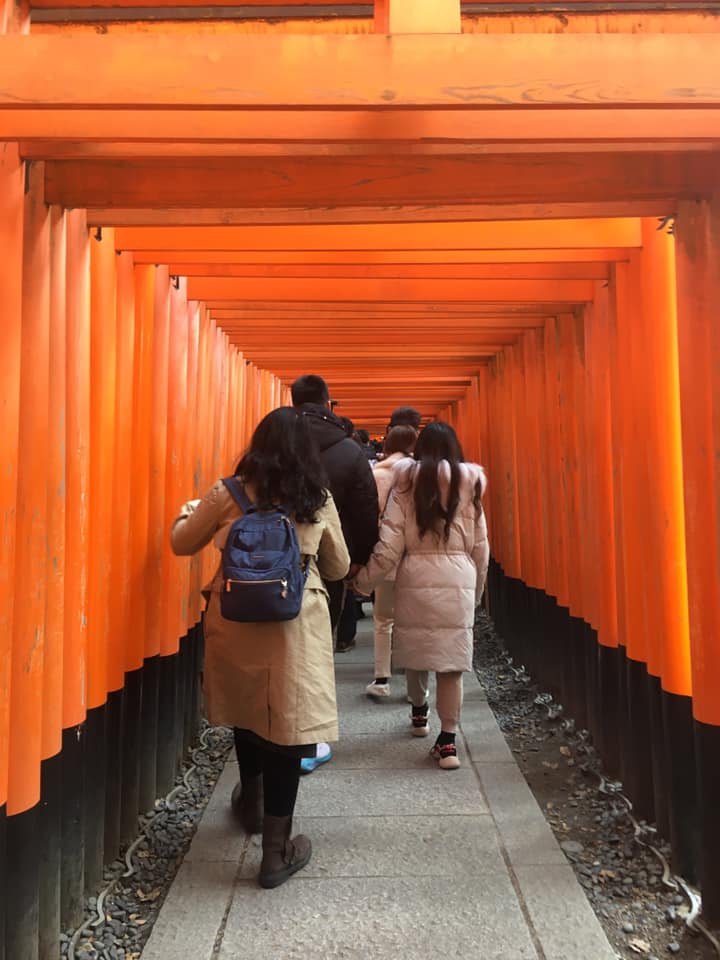 torii gates at fushimi inari shrine