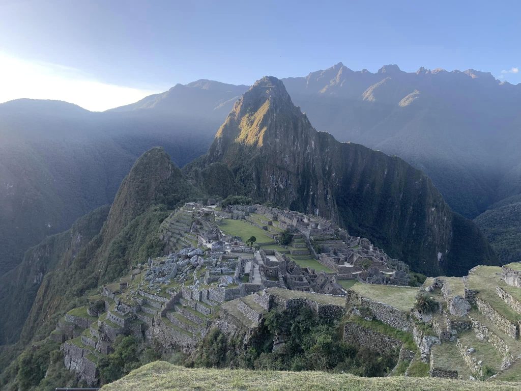 Alpaca on machu picchu