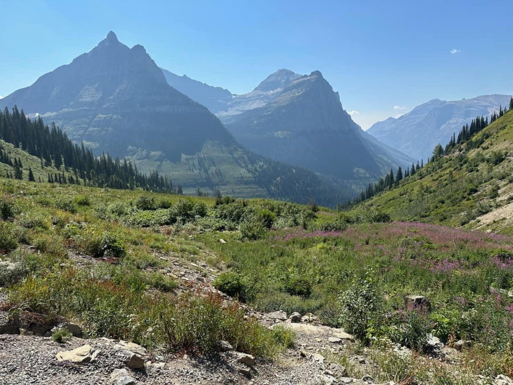 Alpine meadow at Glacier National Park 