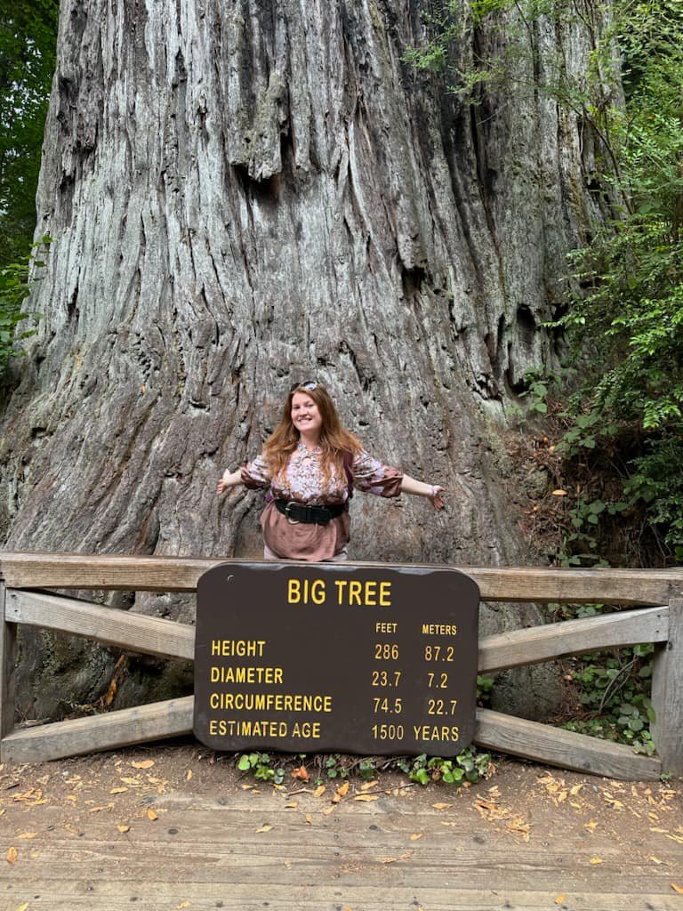 Big Tree at Redwoods National Park