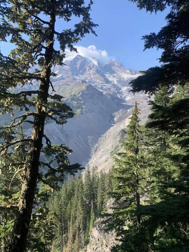 Mt Rainier National Park 