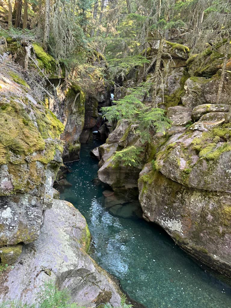 Beautiful water at Glacier National Park 