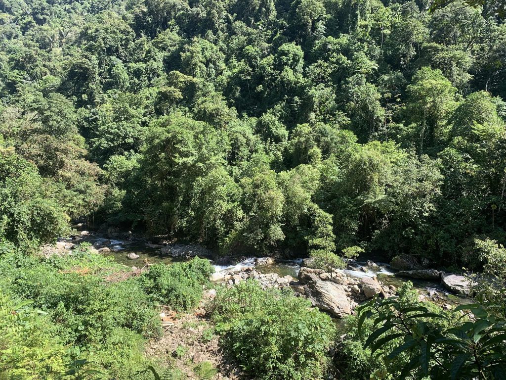 river on the Lost City trek