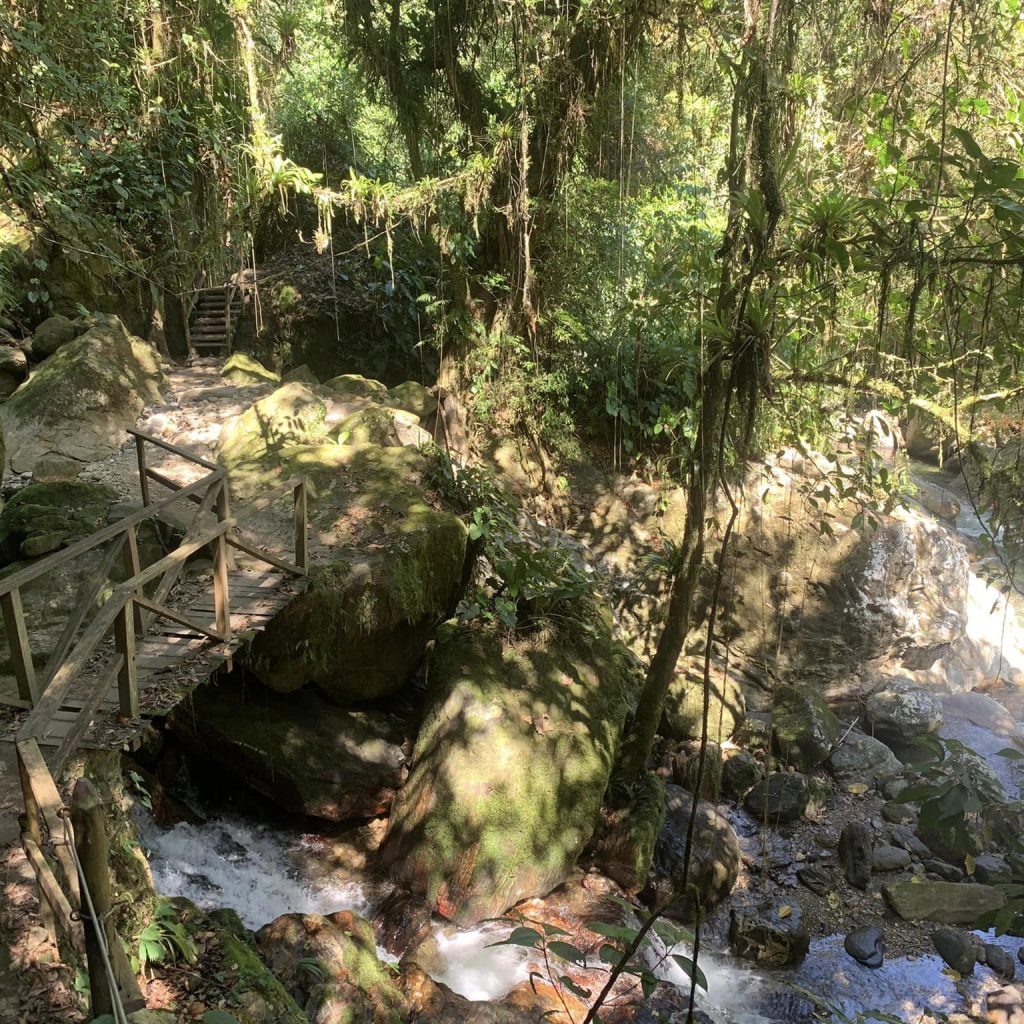 Wooden bridge on the Lost City trek